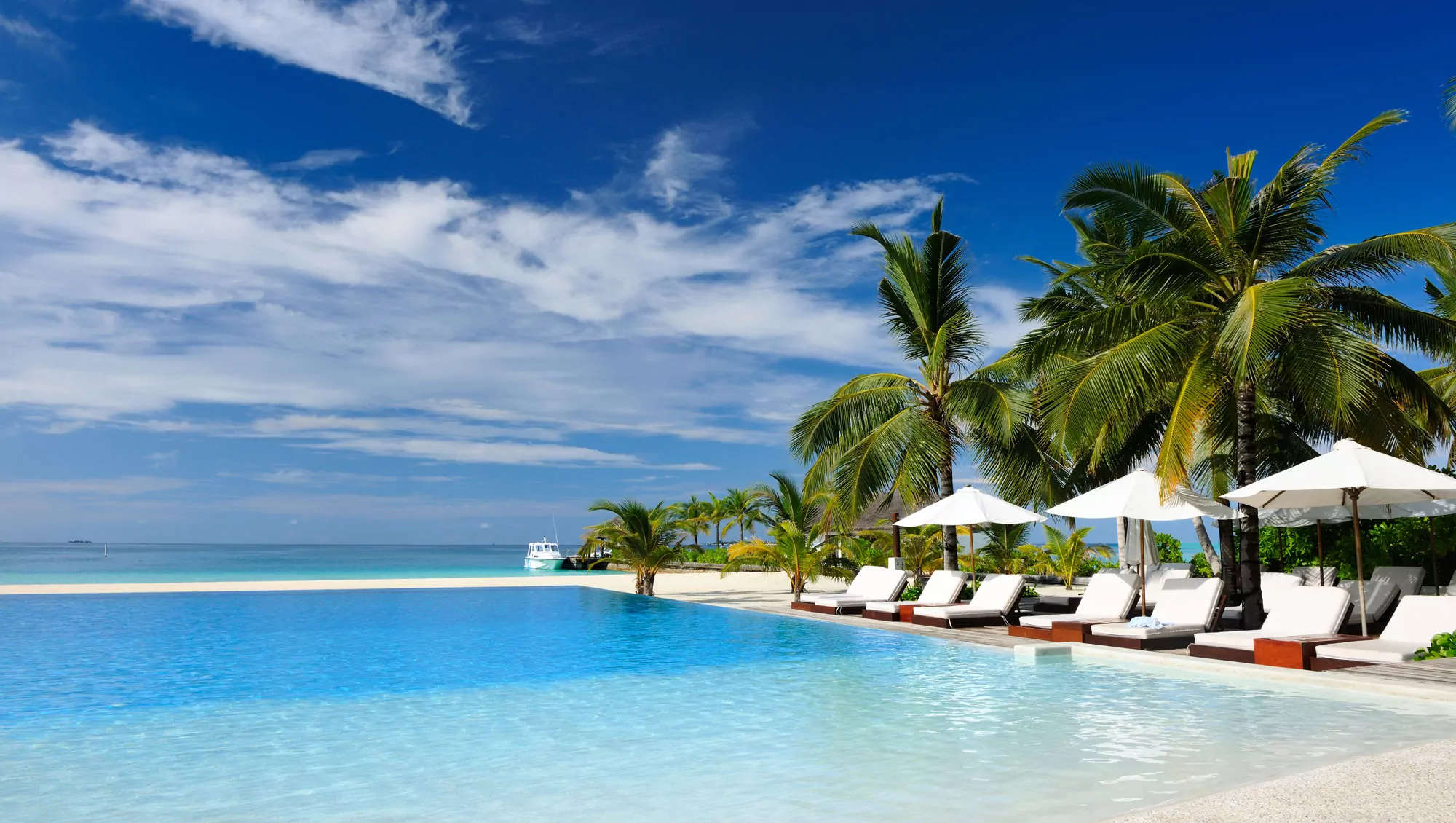 A row of lounge chairs and palm trees surrounded by turquoise waters