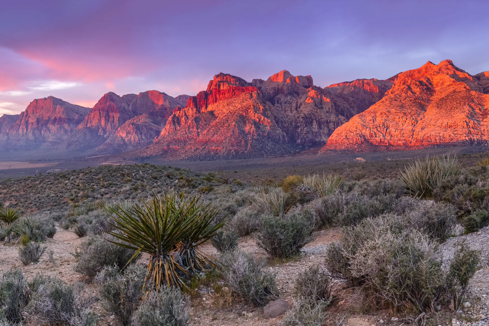 Las Vegas - Explore the Las Vegas Strip & Beyond