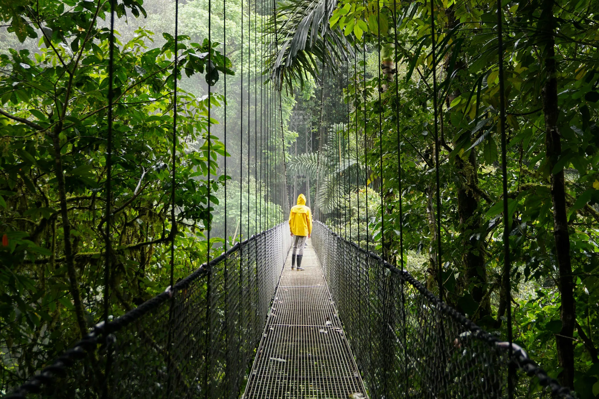 Why Visit Costa Rica For Your Next Getaway