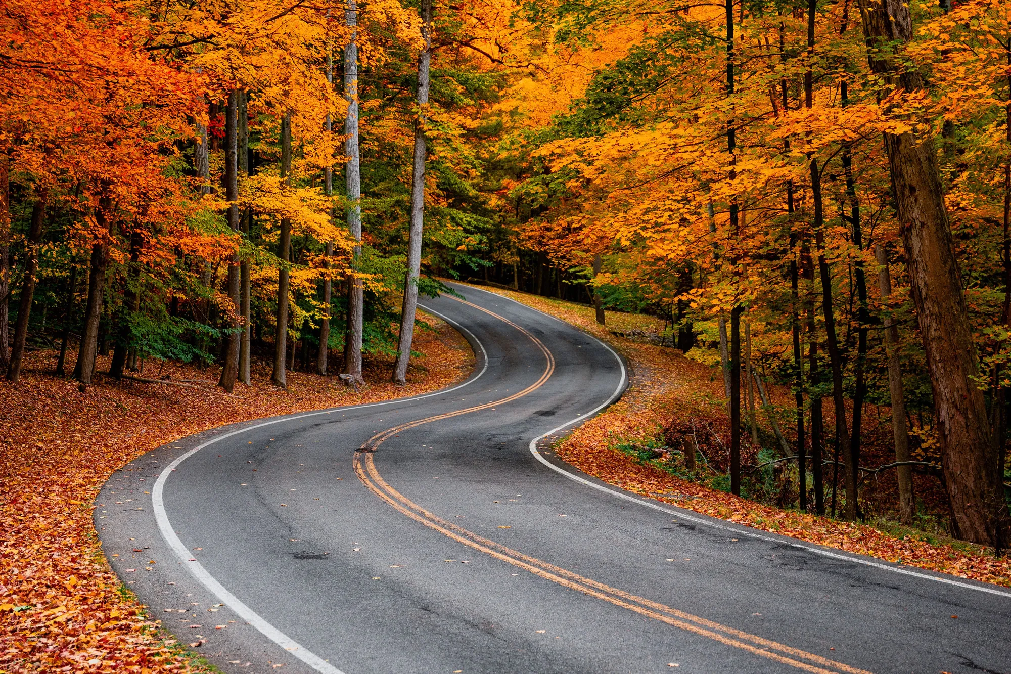 Explore the Best Fall Foliage in the US
