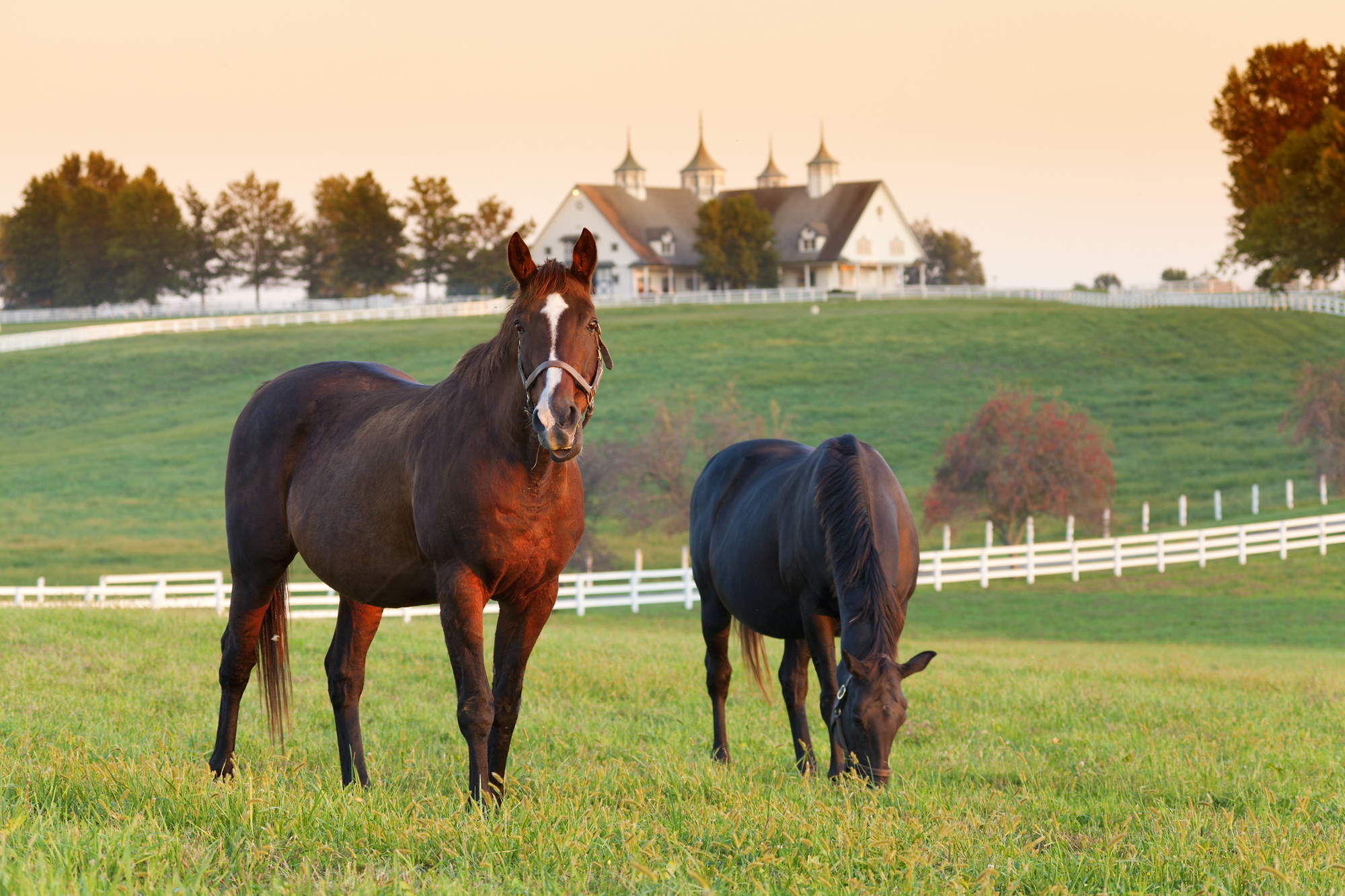 Your Next Vacation Should Be in Kentucky